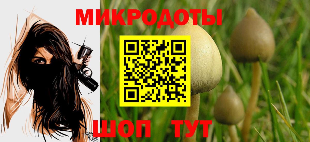 Ухта  Галлюциногенные грибы MAGIC MUSHROOMS  Псилоцибиновые грибы мицелий  наркотики  Вход с VPN 